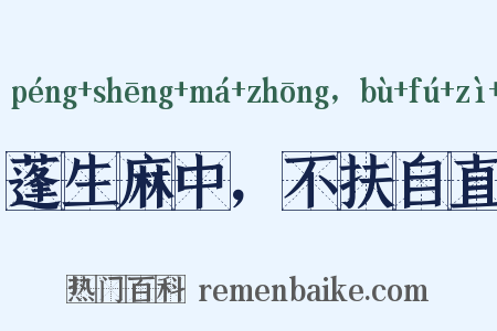 蓬生麻中，不扶自直是什么意思的图片